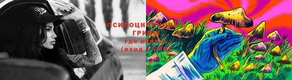 сатива Медногорск