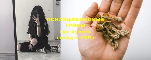 мет Медвежьегорск