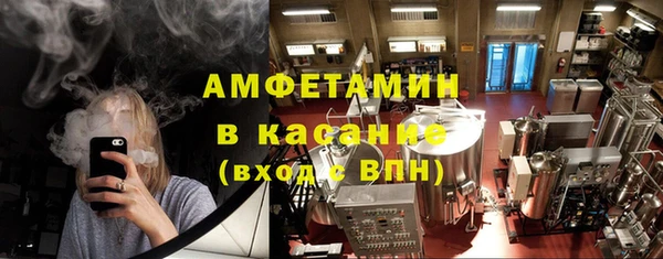 сатива Медногорск